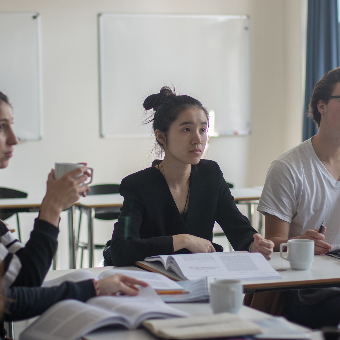 Danish Language and Culture: Level I-II