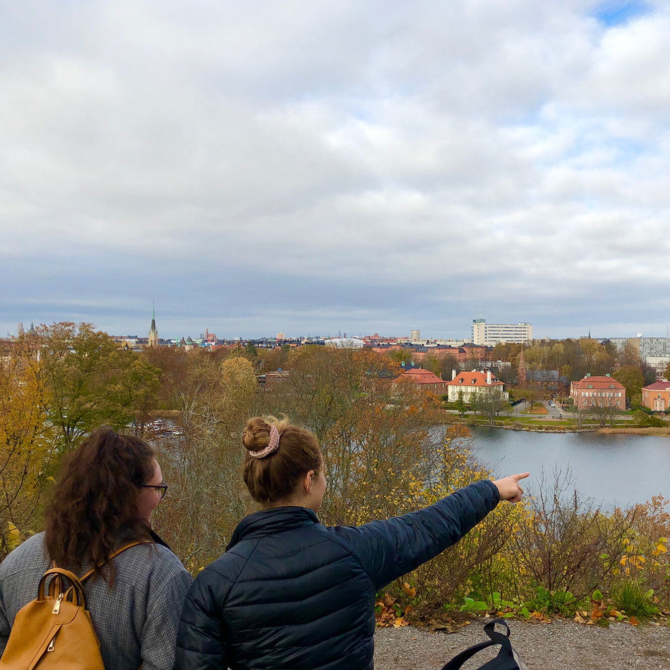 History of Sweden in Europe and the World