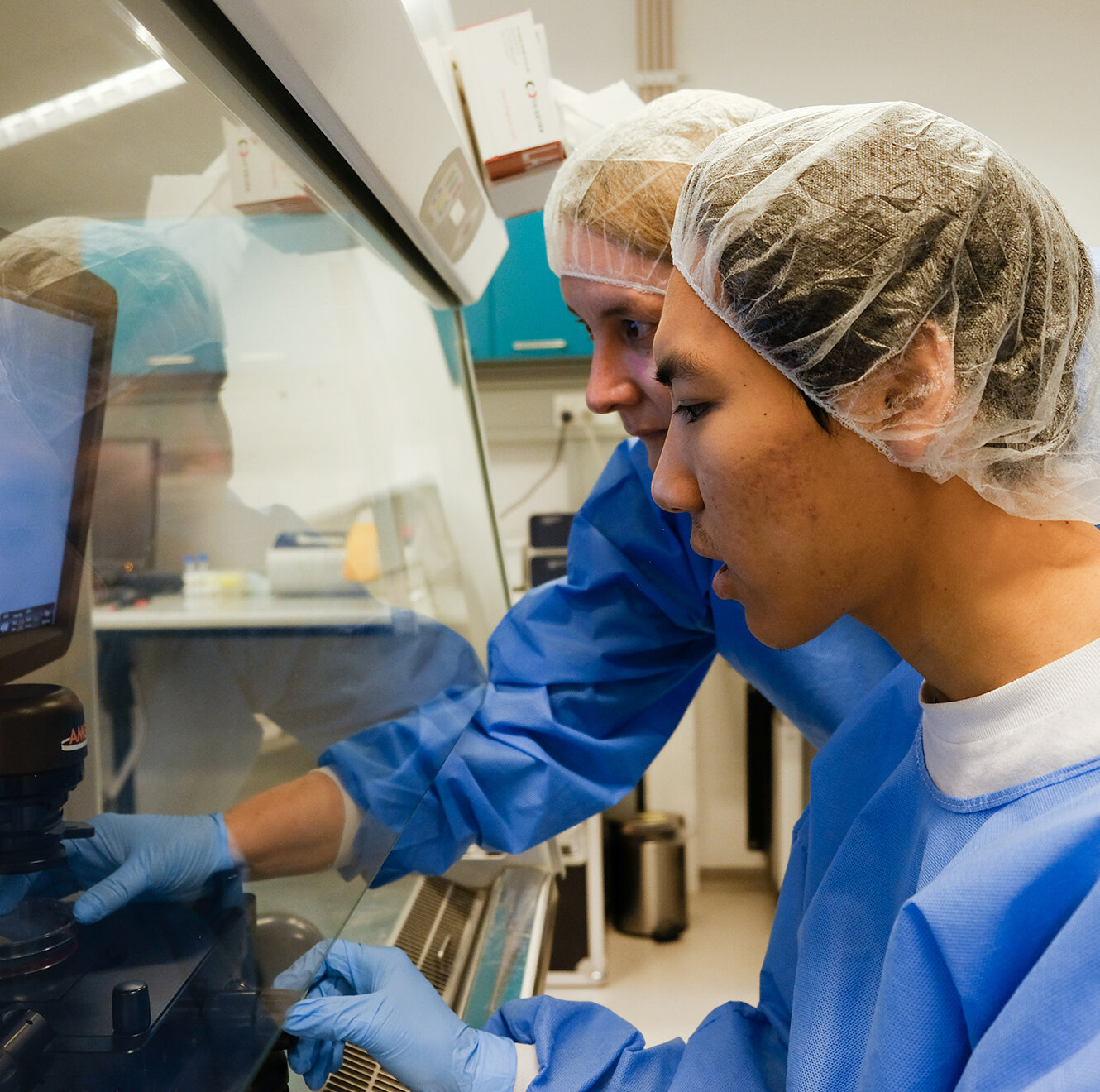 Neurodegenerative Diseases