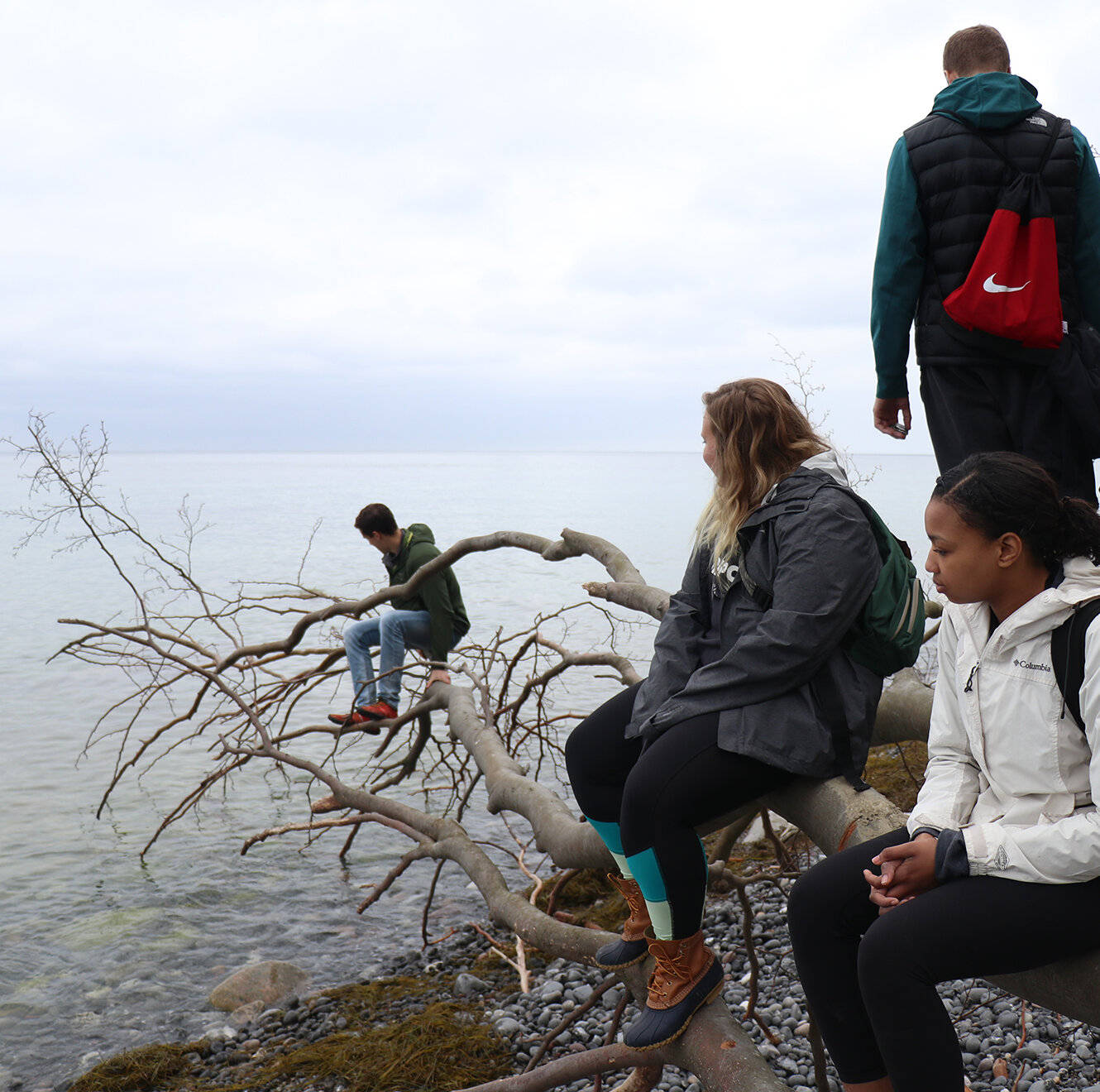 Ocean Ecosystems and Changing Climate