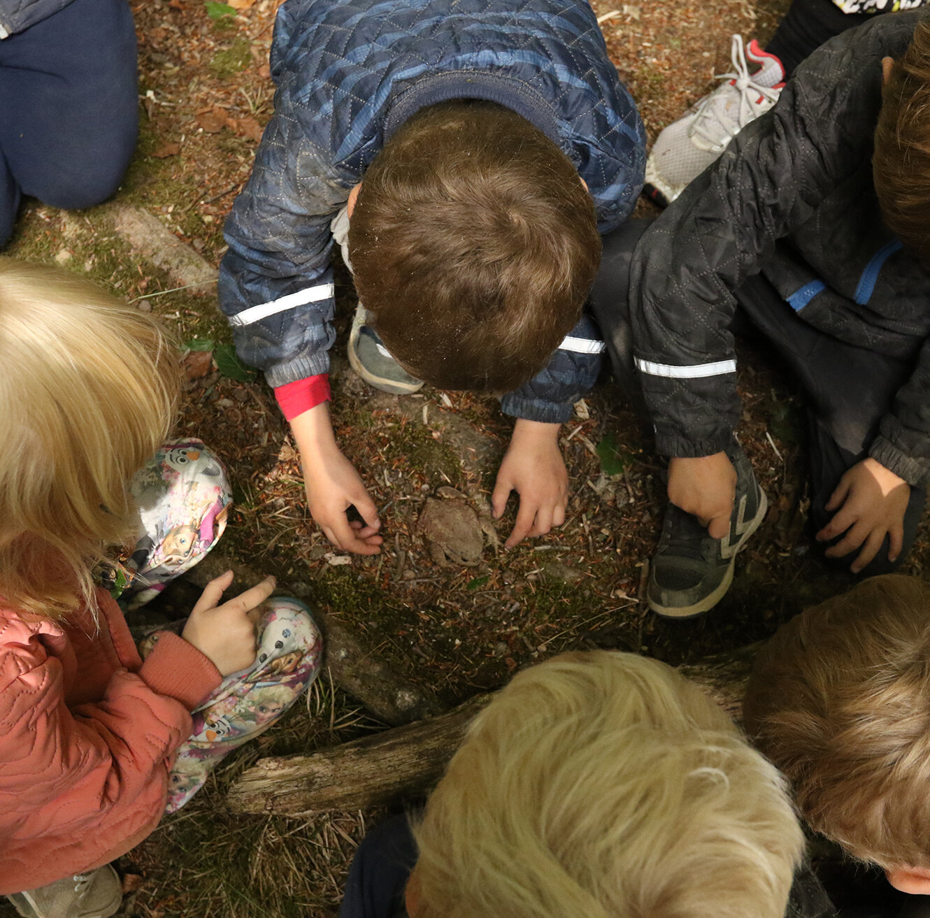 Playful Learning in Scandinavian Classrooms