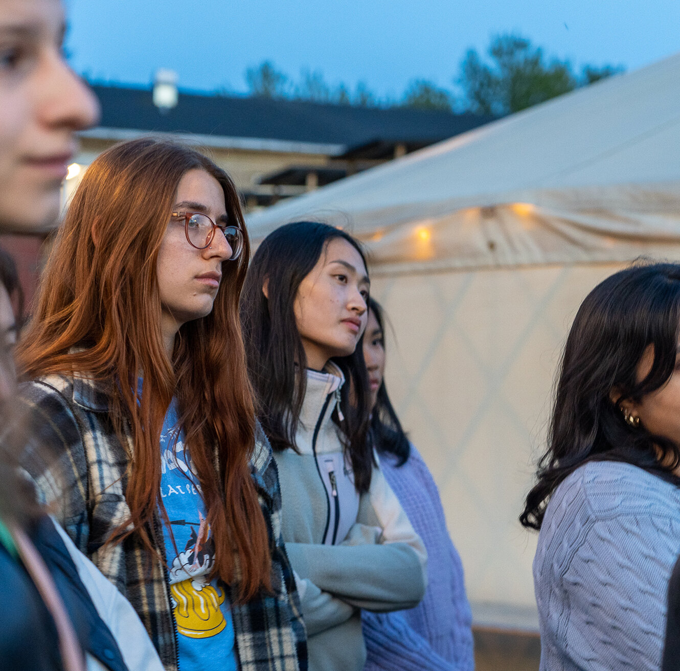 Psychology of Adolescence: A Scandinavian Perspective