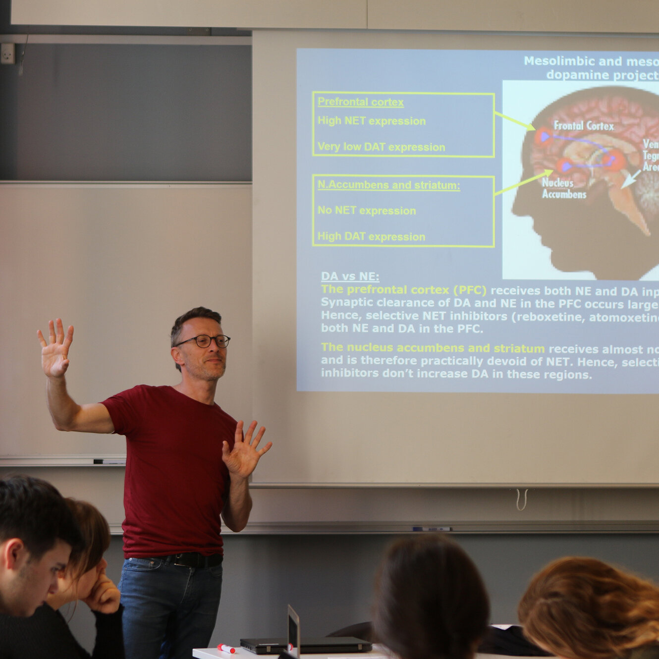 Psychopharmacology: Substances and the Brain
