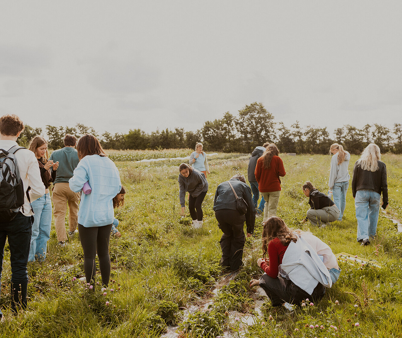 Research Assistant: Biological Pest Control in Agriculture