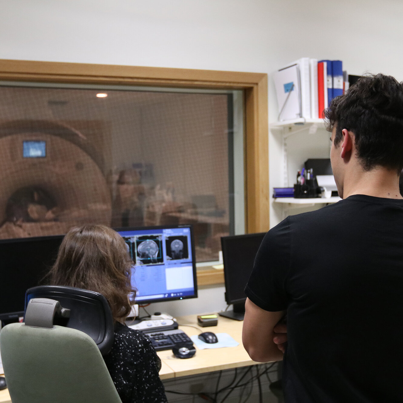 Research Assistant: Mapping Protein Distribution in the Brain