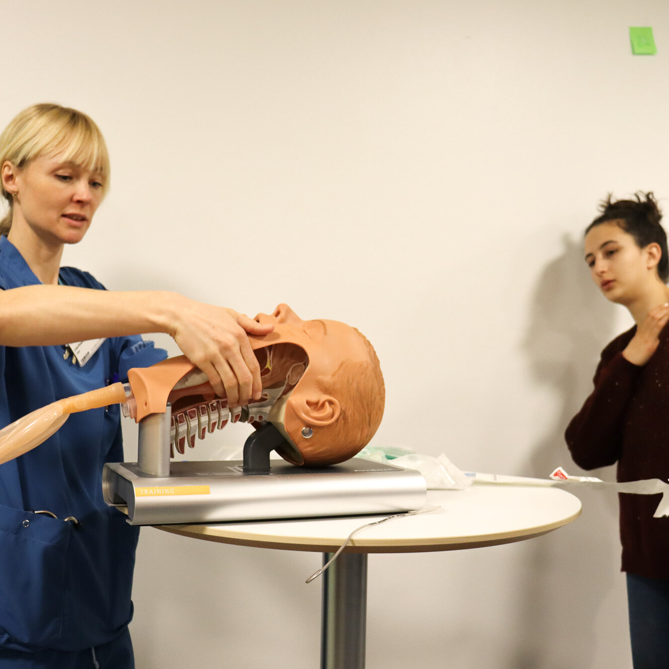 Research Assistant: Retention of Nurses in the Hospital Sector