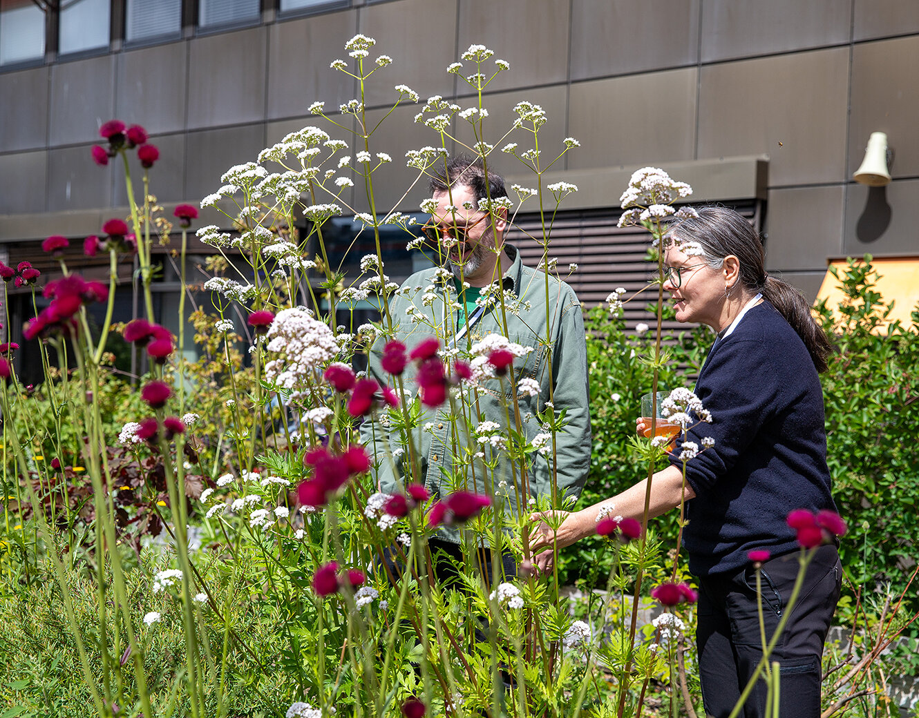 Urban Ecology