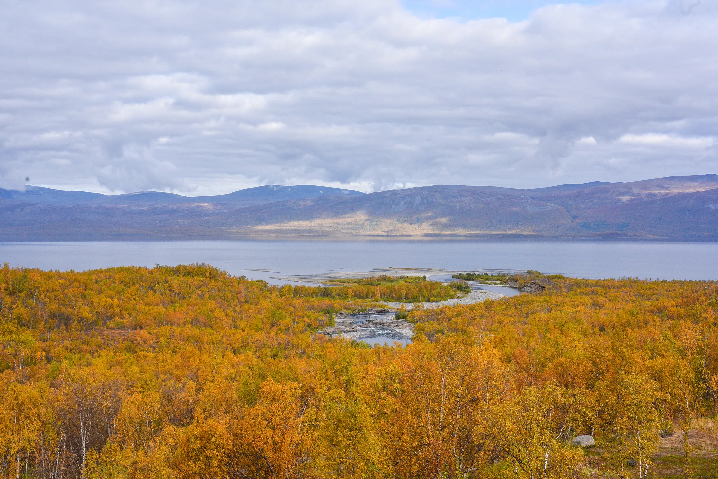 Forest and lake imagery of Kiruna, Sweden in the fall