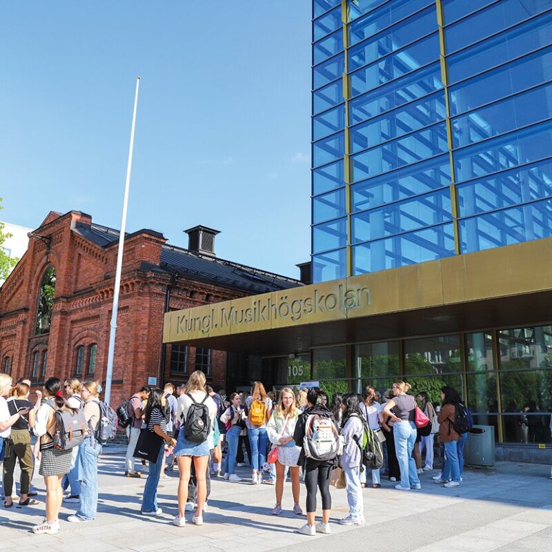 A large group of DIS students socializing outside the DIS Stockholm building