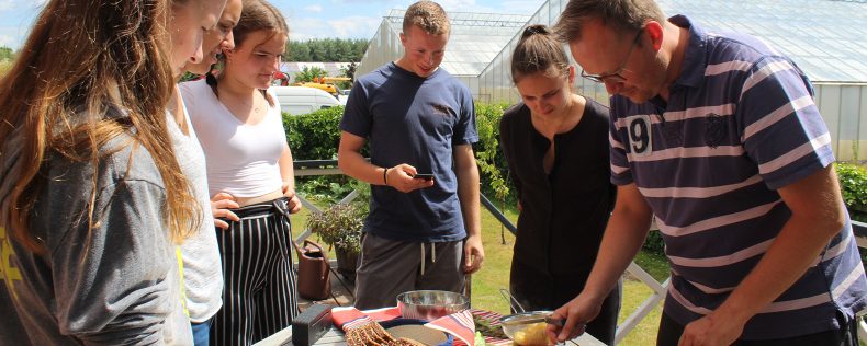 DIS Summer, Nordic Culinary Culture
