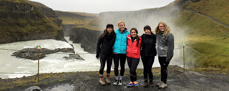 Weeklong study tour in Iceland, World of Vikings, DIS Stockholm