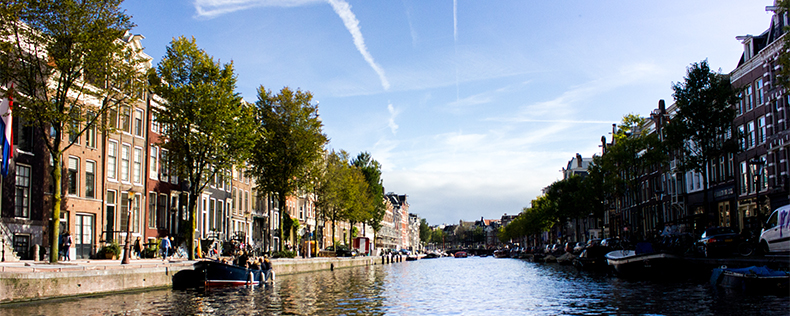 Health Delivery and Prioritization, DIS Summer, Study Tour to Netherlands