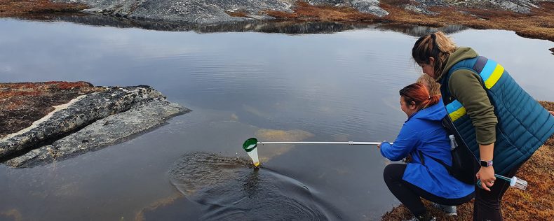 Understanding Climate Change of Arctic Ecosystems Lab