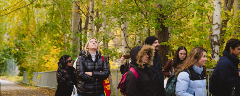 A group of students walking through a park in Stockholm full of greenery. One student is looking up observing all of the landscape.