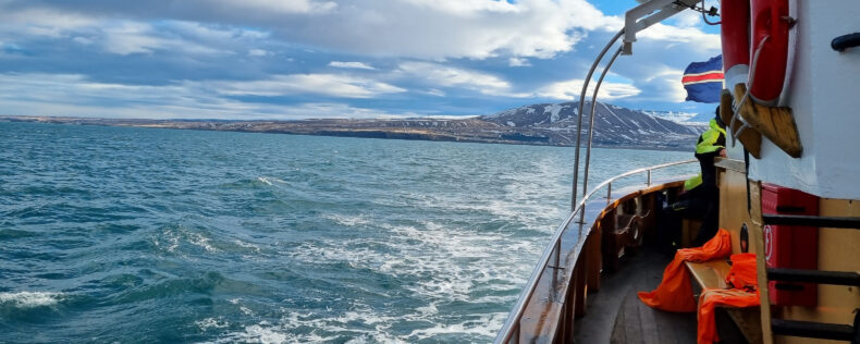 On a boat off the coast of Iceland.