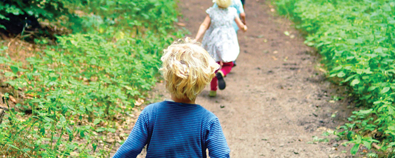 Child Development in Scandinavia, Core Course