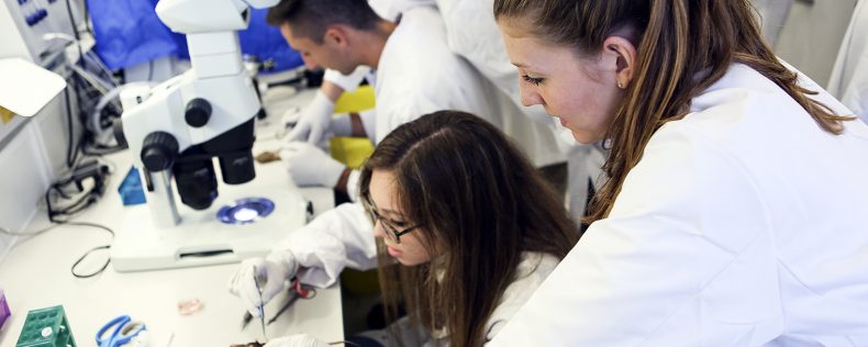 Medical Biotechnology and Drug Development, semester core course at DIS Copenhagen