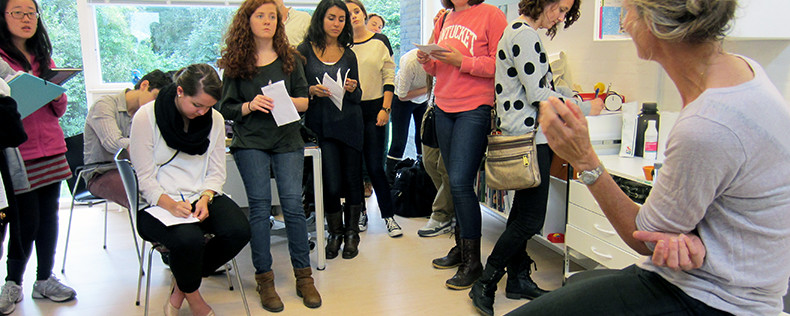 Western Denmark, Core Course Week Study Tour, Medical Practice & Policy Program