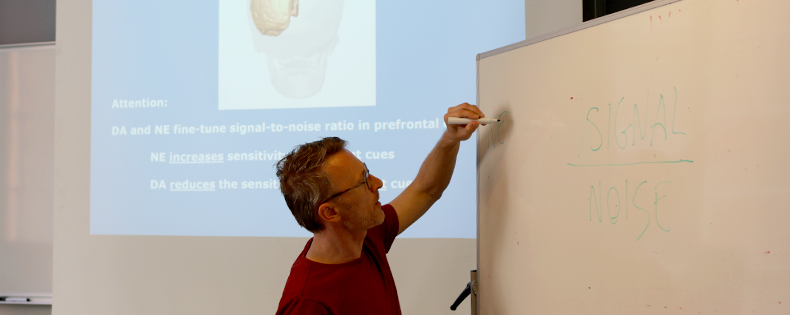 Psychopharmacology Substances and the Brain semester core course at DIS Copenhagen