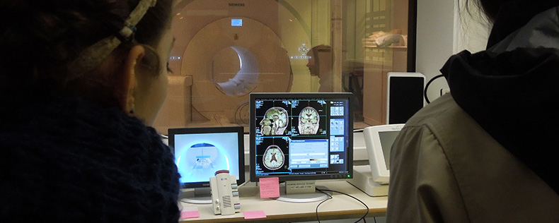 Neuroimaging of the Diseased Brain, elective course at DIS Copenhagen