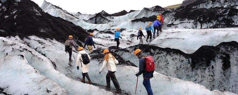 Polar Biology, Study Tour to Iceland