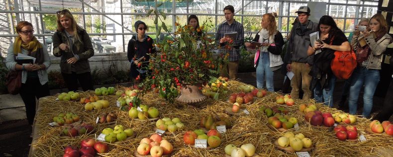 Sustainable Food: Production and Consumption, Study Tour to Sweden