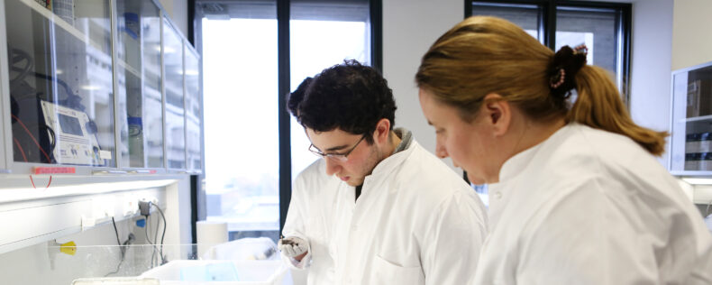 Two Biomed students doing an experiment in the lab.