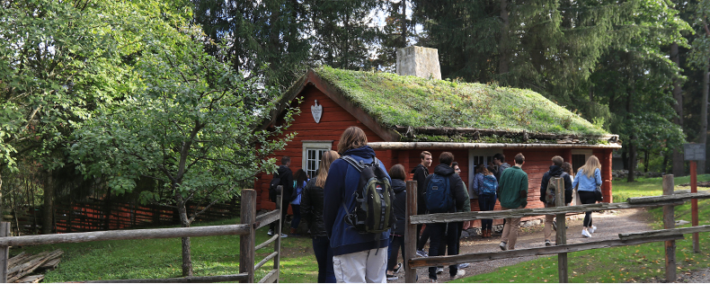 History of Sweden in Europe and the World, elective course at DIS Stockholm