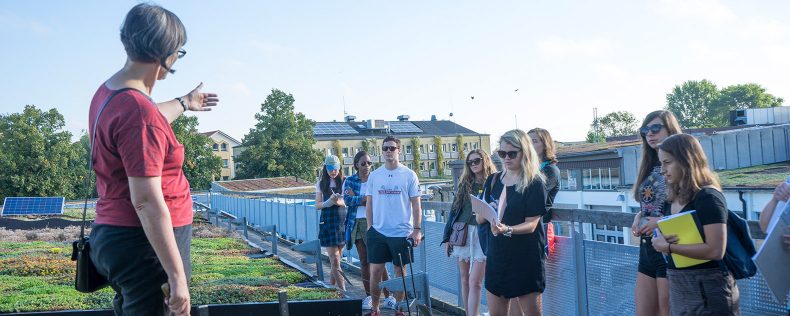 Engineering Sustainable Environments in Scandinavia, Short Study Tour to Sweden, DIS Stockholm