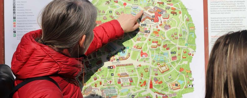Swedish Language and Culture Course tours Skansen with Djina, looking at a map of the area
