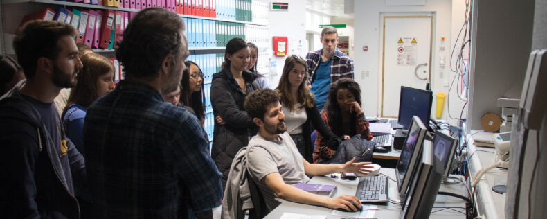 A group of students observing two computer monitors with images of the brain.